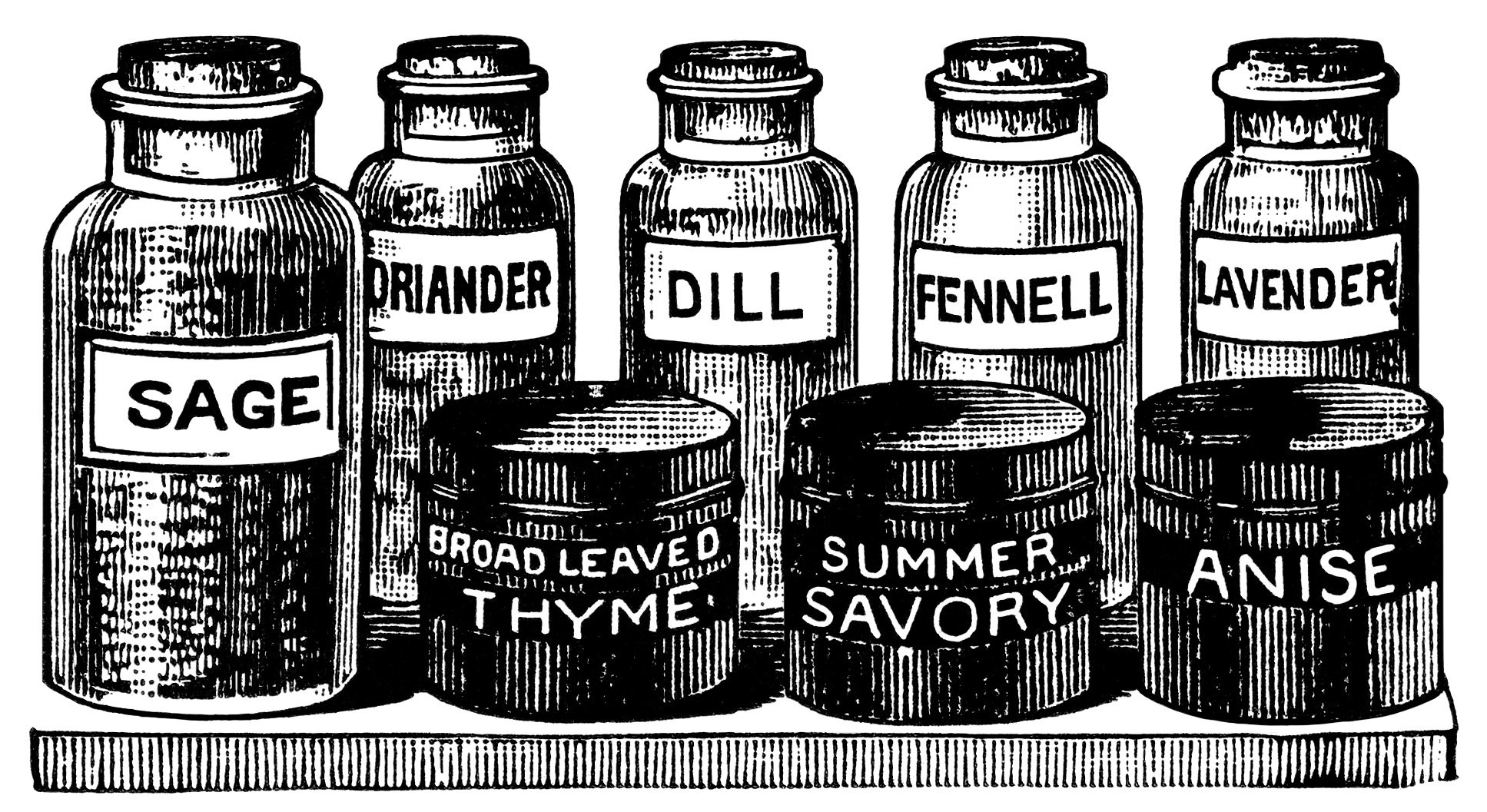 vintage herb clipart, black and white graphics, old advertising ephemera, vintage kitchen clip art, bottled herbs illustration