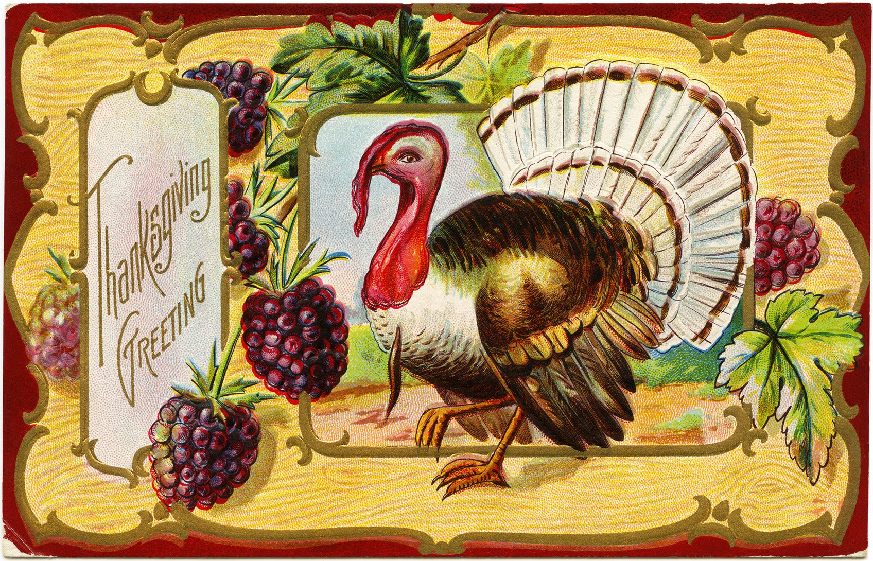 antique Thanksgiving postcard, turkey clip art, Victorian thanksgiving clipart, vintage turkey graphic, old fashioned thanksgiving card