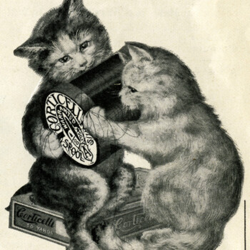 Free vintage clip art Corticelli Silk kittens thread magazine advertisement