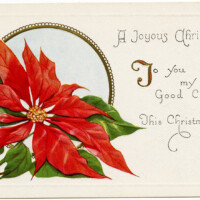 Christmas vintage postcard, poinsettia illustration, old fashioned Christmas card, free holiday graphic, Victorian Christmas clip art