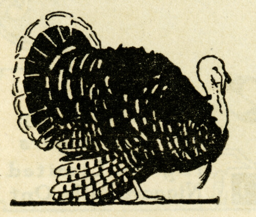 Thanksgiving clip art, vintage turkey illustration, black and white graphics, free turkey printable