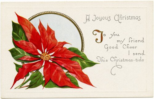 Christmas vintage postcard, poinsettia illustration, old fashioned Christmas card, free holiday graphic, Victorian Christmas clip art