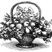 basket of fruit clip art, black and white clipart, vintage food printable, victorian basket engraving, basket of flowers illustration