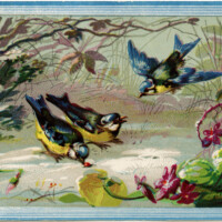 vintage bird clip art, birds in snow illustration, blue yellow birds, junk journal printable, winter bird graphics