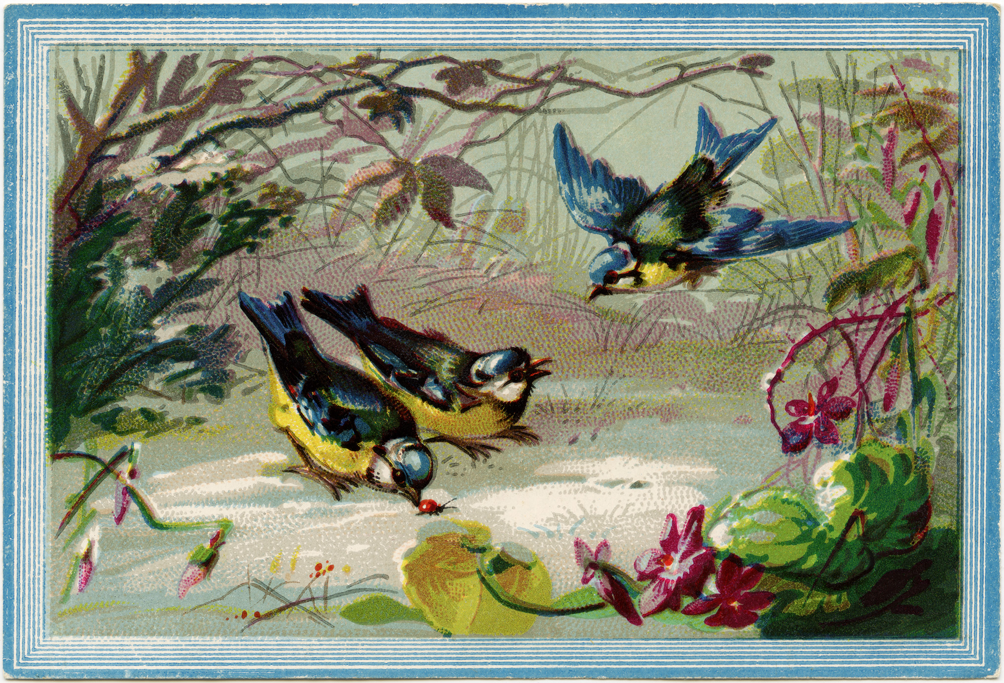 vintage bird clip art, birds in snow illustration, blue yellow birds, junk journal printable, winter bird graphics