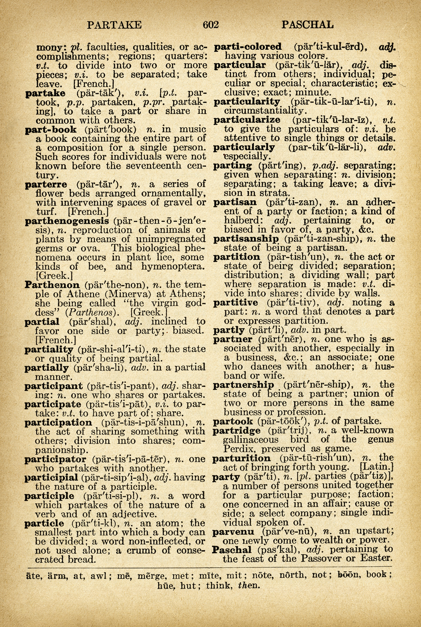 Partner Partridge Party Dictionary Page The Old Design Shop