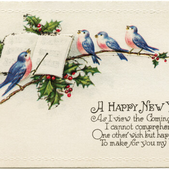 blue pink birds illustration, vintage new year postcard, singing birds clip art, holly berries bird illustration, music conductor bird graphics