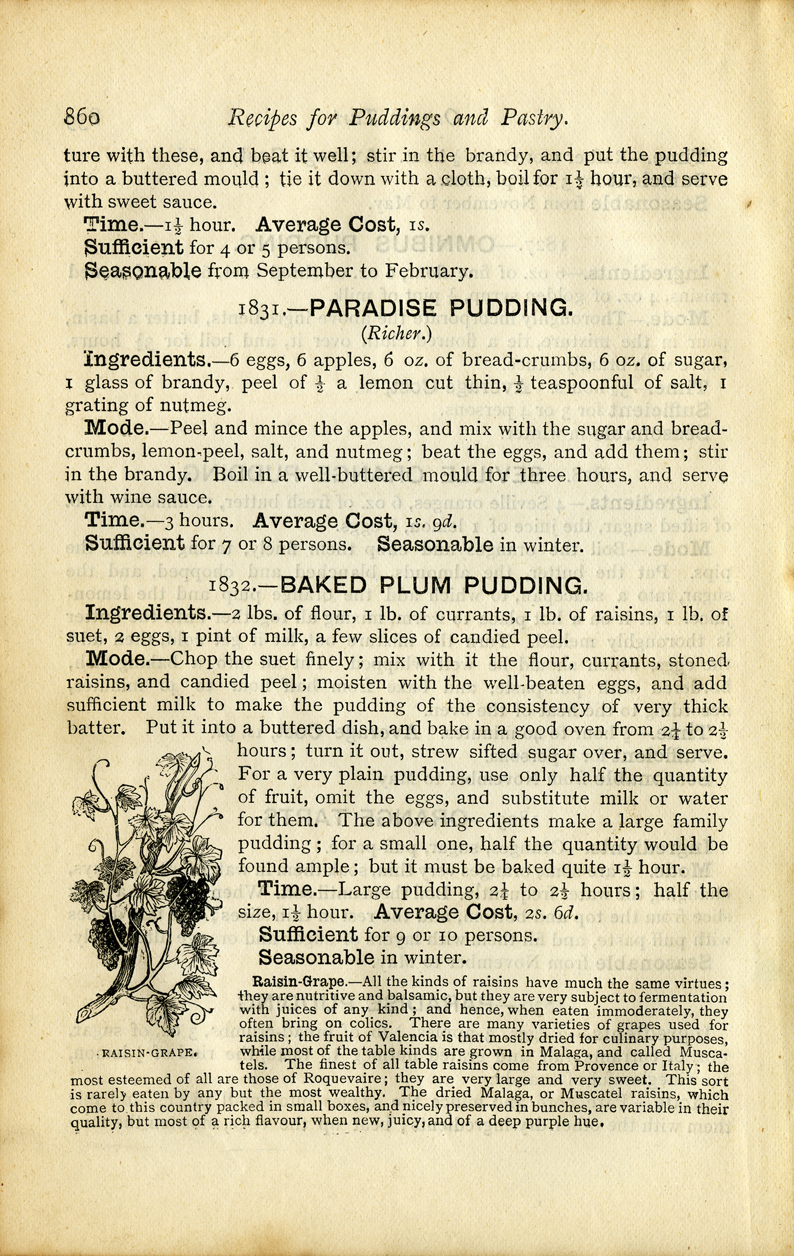 Plum Pudding Recipes - The Old Design Shop