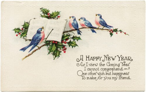 blue pink birds illustration, vintage new year postcard, singing birds clip art, holly berries bird illustration, music conductor bird graphics