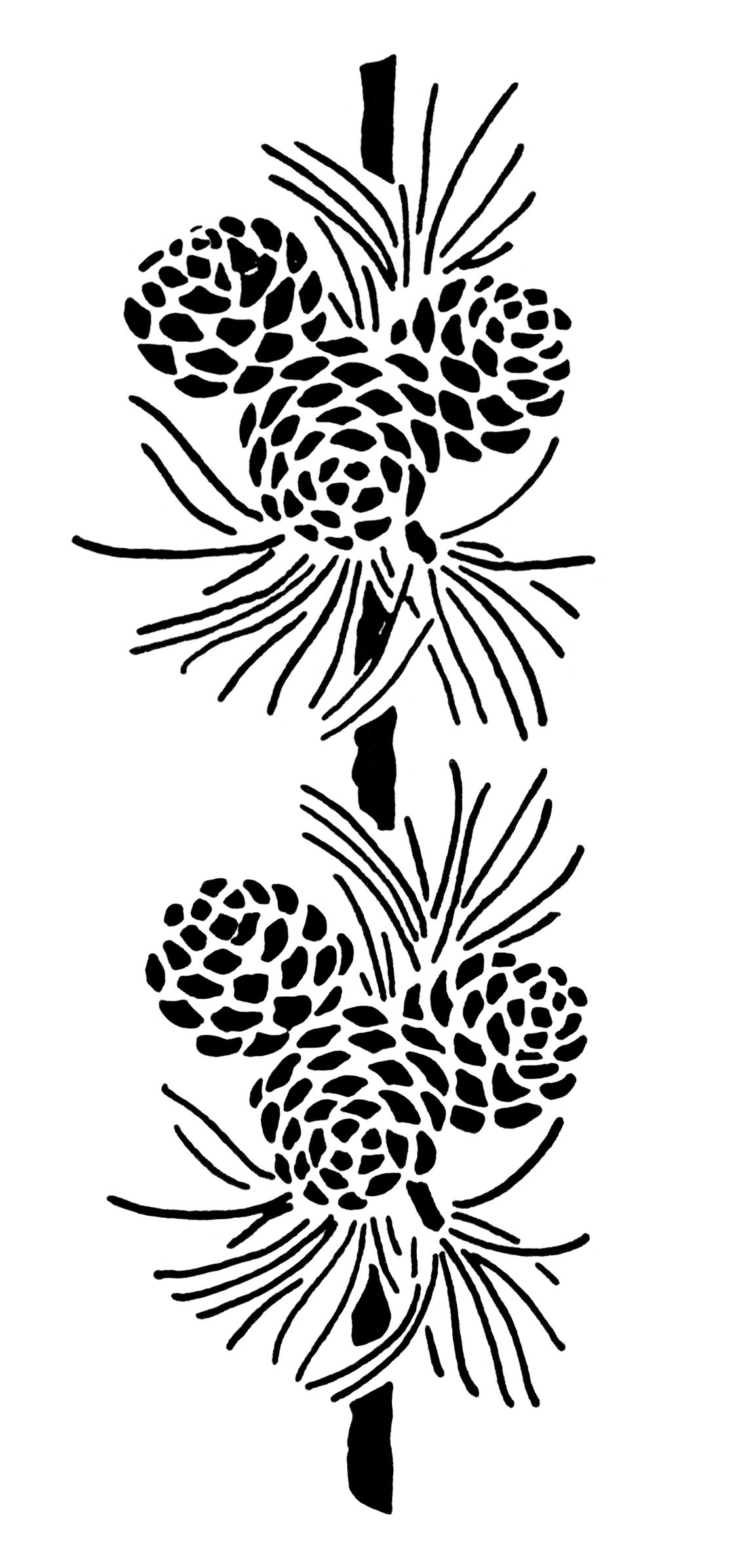 vintage pine cone clip art, black and white graphics, pine cone needles illustration, vintage Christmas clipart