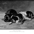 vintage puppy illustration, Tudor Jenks poetry, caesar and pompey poem, black and white graphics, sleeping dogs picture, dog poetry, old book page