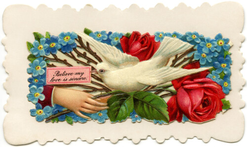 Victorian calling card, vintage ephemera, free vintage card, old fashioned visiting card, printable card hand flower bird