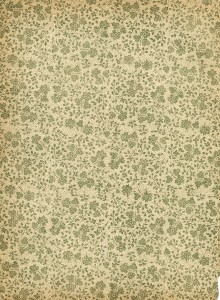 aged paper texture, floral endpaper, old paper graphics, shabby aged page, digital texture paper, vintage floral design