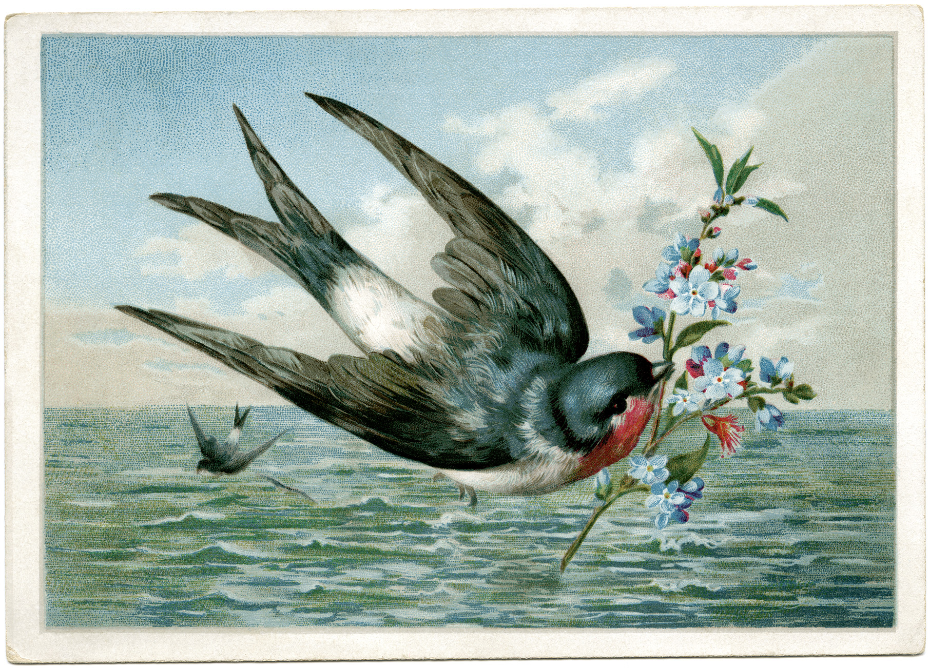 vintage bird clip art, bird carrying branch, printable bird card, bird flying over water illustration, free vintage ephemera graphics