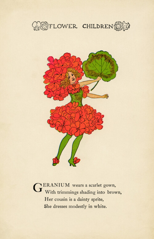 geranium flower child, Elizabeth Gordon, old book page, vintage flower children poem, vintage storybook printable