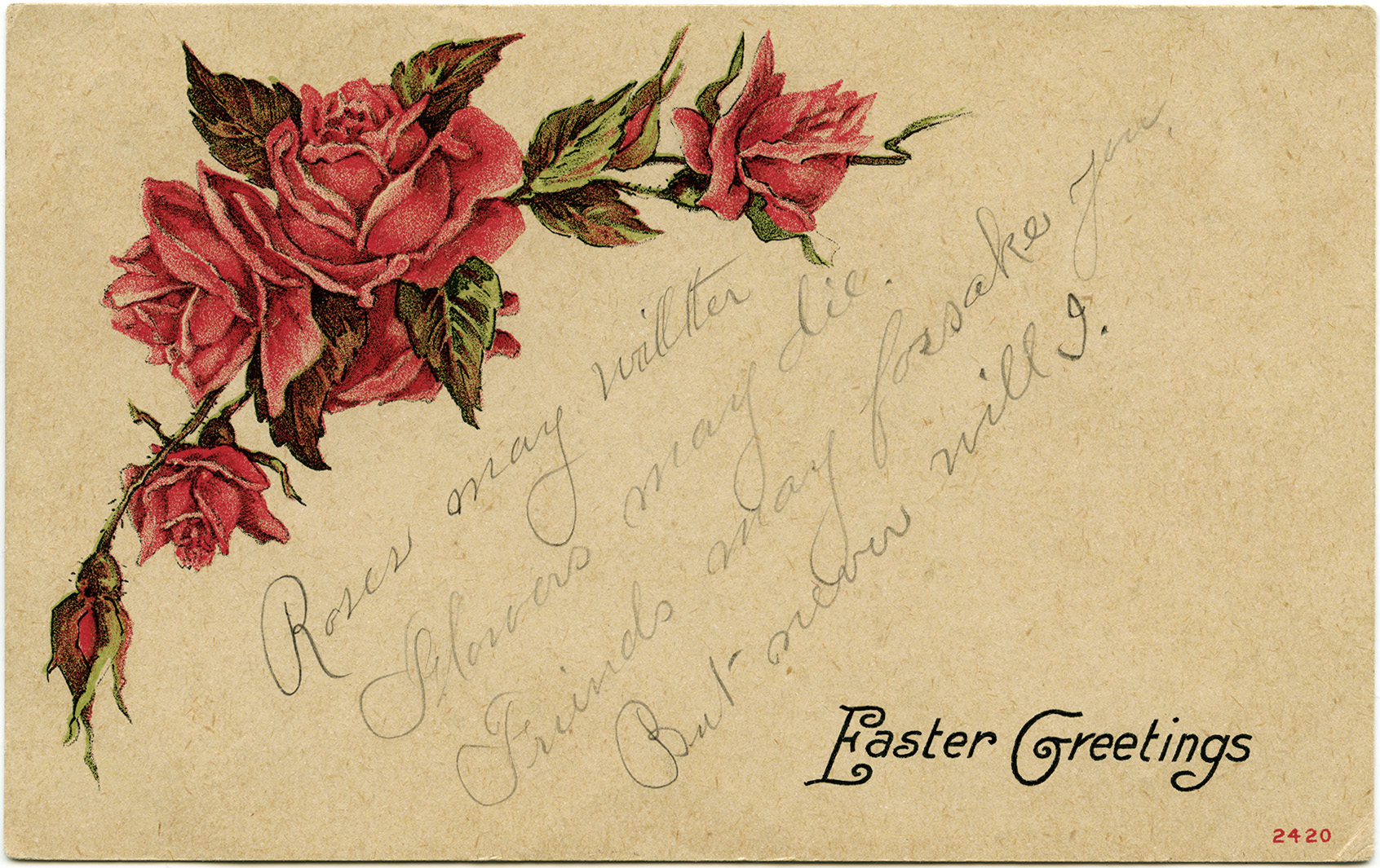 unposted Postcard Flowers Roses Pink by Dennis Print 