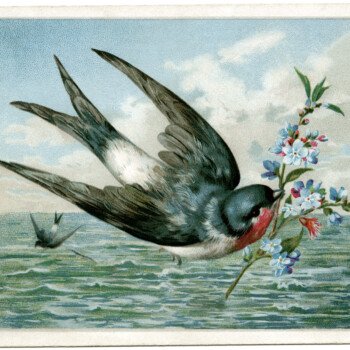 vintage bird clip art, bird carrying branch, printable bird card, bird flying over water illustration, free vintage ephemera graphics
