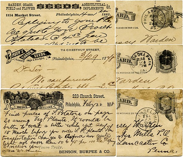 Free vintage postcard digital