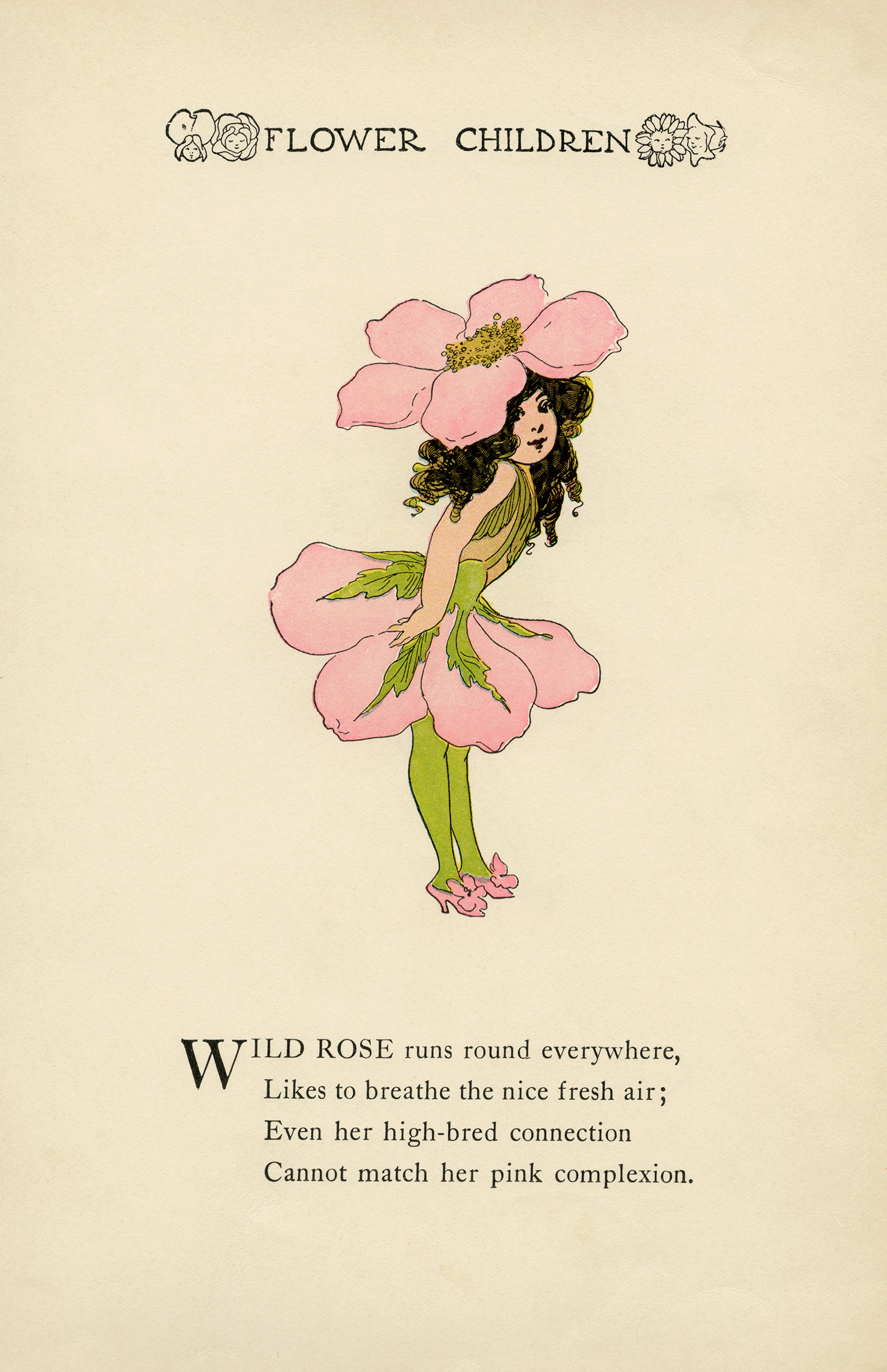 Wild Rose Flower Child - The Old Design Shop