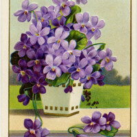 Victorian postcard graphics, vintage birthday postcard, purple flower clip art, old fashioned birthday card, vintage flower illustration