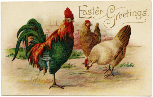 vintage easter postcard, rooster hen clip art, old fashioned easter card, printable chicken graphics, antique rooster hen easter greeting