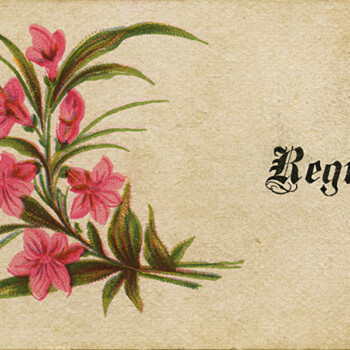 Free vintage clip art Victorian calling card flowers calligraphy