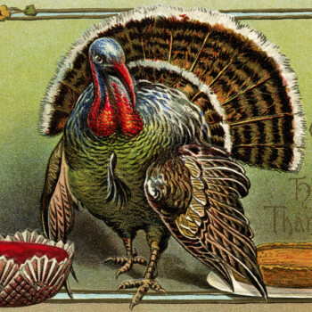 Thanksgiving Turkey Postcard Digital