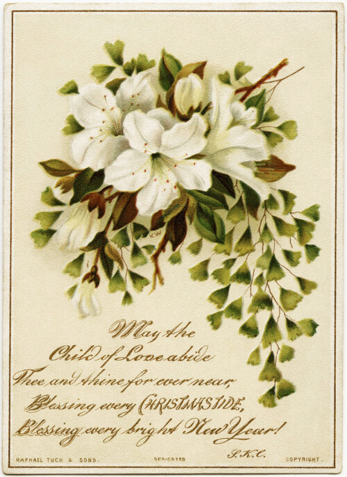 Raphael Tuck, antique Christmas card, bouquet of lilies, vintage lily illustration, Christmas clip art