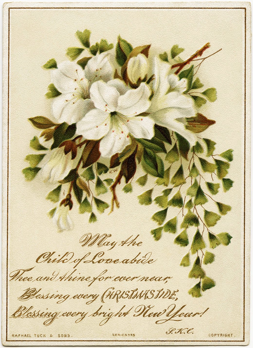 Raphael Tuck, antique Christmas card, bouquet of lilies, vintage lily illustration, Christmas clip art