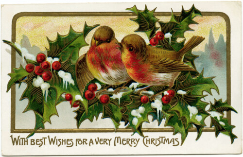 vintage Christmas postcard, bird clip art, bird holly berries illustration old fashioned Christmas card, birds on branch clip art