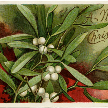 antique Christmas postcard, Ellen Clapsaddle, mistletoe and berries, Victorian Clapsaddle card, vintage Christmas clip art