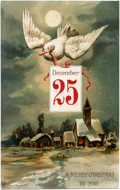 vintage Christmas postcard, dove Christmas graphic, bird clip art, old fashioned Christmas card, antique Christmas printable