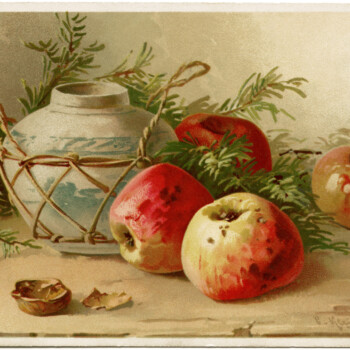 Catherine Klein postcard, apples clip art, antique postcard graphics, vintage vase postcard, printable fruit clipart