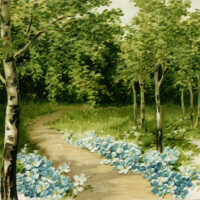 Free vintage clip art flower lined path in woods postcard image