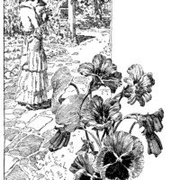 Ferry’s seeds, vintage magazine ad, vintage garden clip art, black and white clipart, Victorian lady illustration