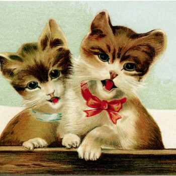 singing kitten, vintage cat postcard, kitten clip art, brown cat