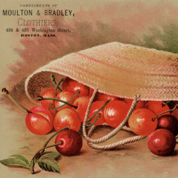Free Printable Vintage Advertising Card Moulton and Bradley Cherries in Basket