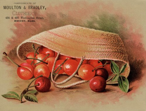 Free Printable Vintage Advertising Card Moulton and Bradley Cherries in Basket