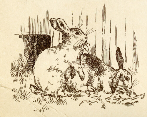 free vintage clip art printable bunny rabbits
