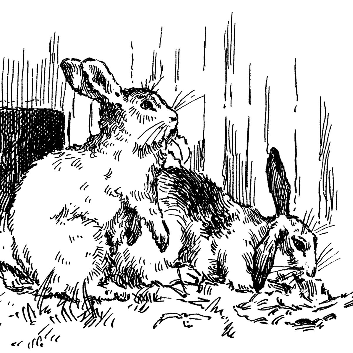 free vintage clip art printable bunny rabbits