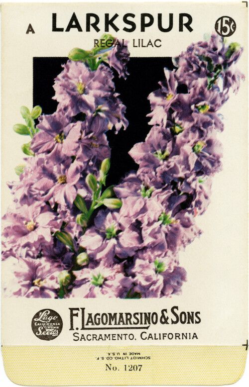 Free vintage clip art larkspur seed packet F Lagomarsino and Sons