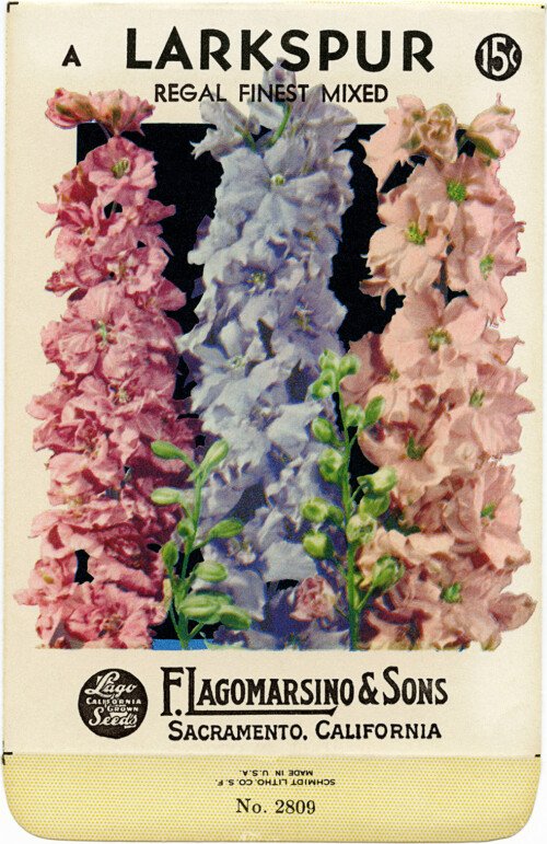 Free vintage clip art larkspur seed packet F Lagomarsino and Sons