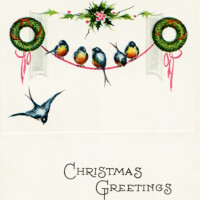 Free vintage Christmas birds postcard image