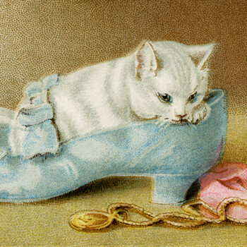 free vintage kitten in shoe clip art illustration
