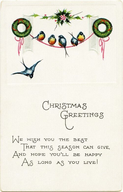 Free vintage Christmas birds postcard image