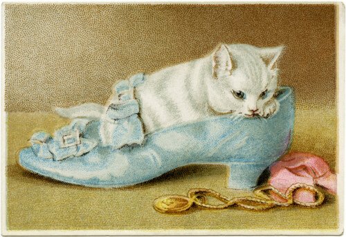 free vintage kitten in shoe clip art illustration