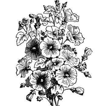 Vintage Flower Bouquet Illustration