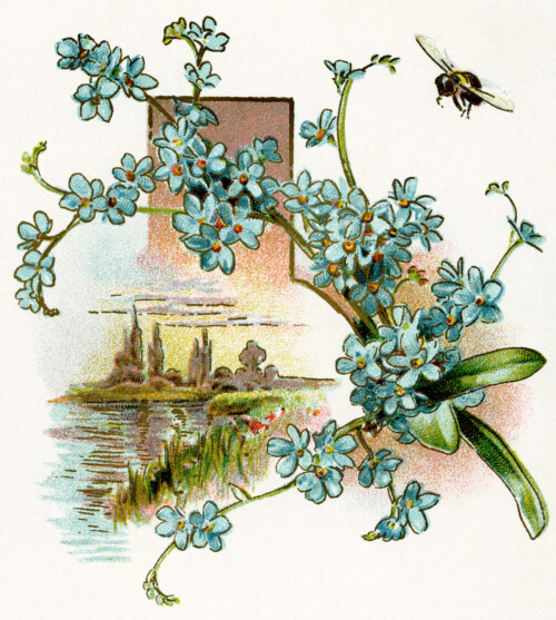 Flowers and bee vintage clip art