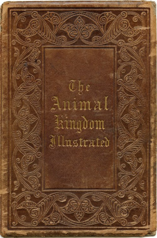 Vintage book cover animal kingdom