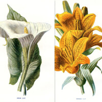 altered floral postcard printable ATC cards